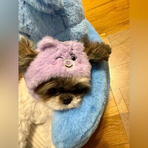 Harmony Care Bear. Care Bears. Famous MINISO product. Cute hat for pets,